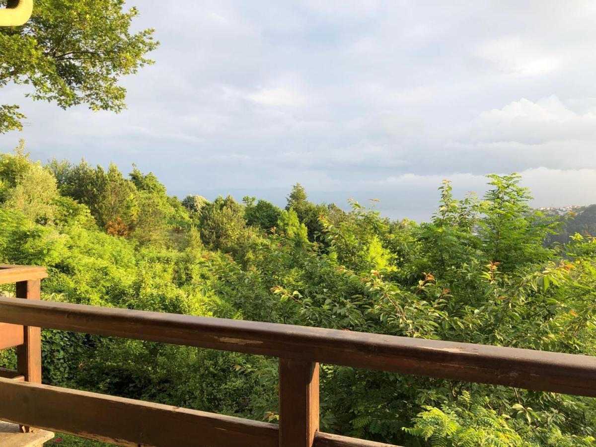 Happyhouse Bungalov Three-Room, Sw Pool With Lake View, Sapanca B1 Buitenkant foto